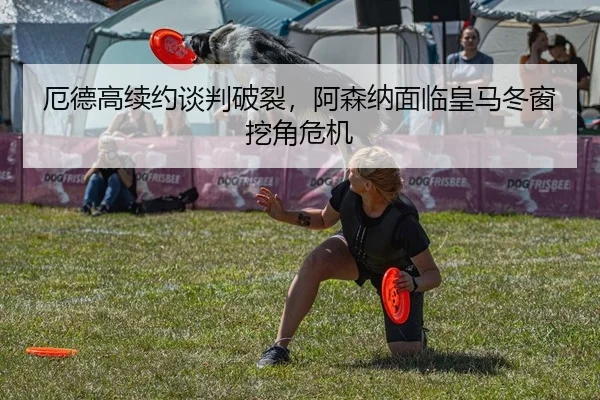 厄德高续约谈判破裂，阿森纳面临皇马冬窗挖角危机
